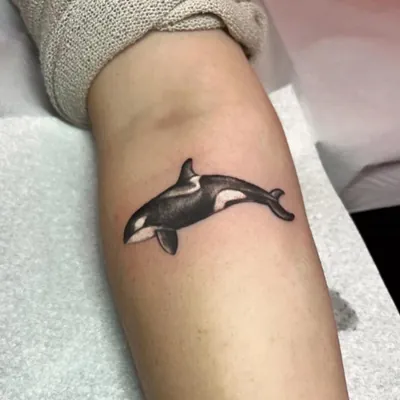 Orca whale black and grey tattoo by Natasha Rachel